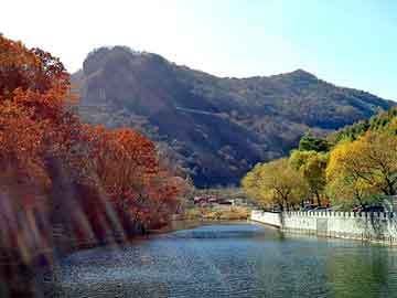 正新澳门二四六天天彩，龙神天尊